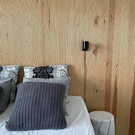 Usva Seinäjoki